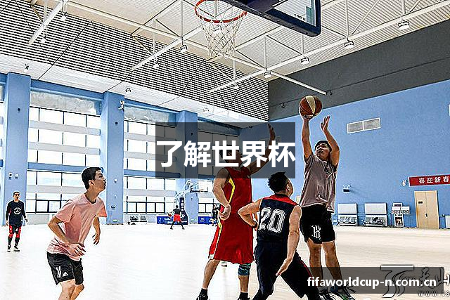 了解世界杯